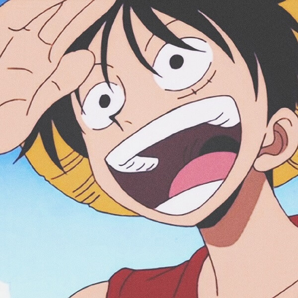 Luffy avatar 9